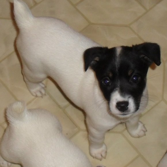 Thanks for shopping my closet!!! - Picture 15 of 16